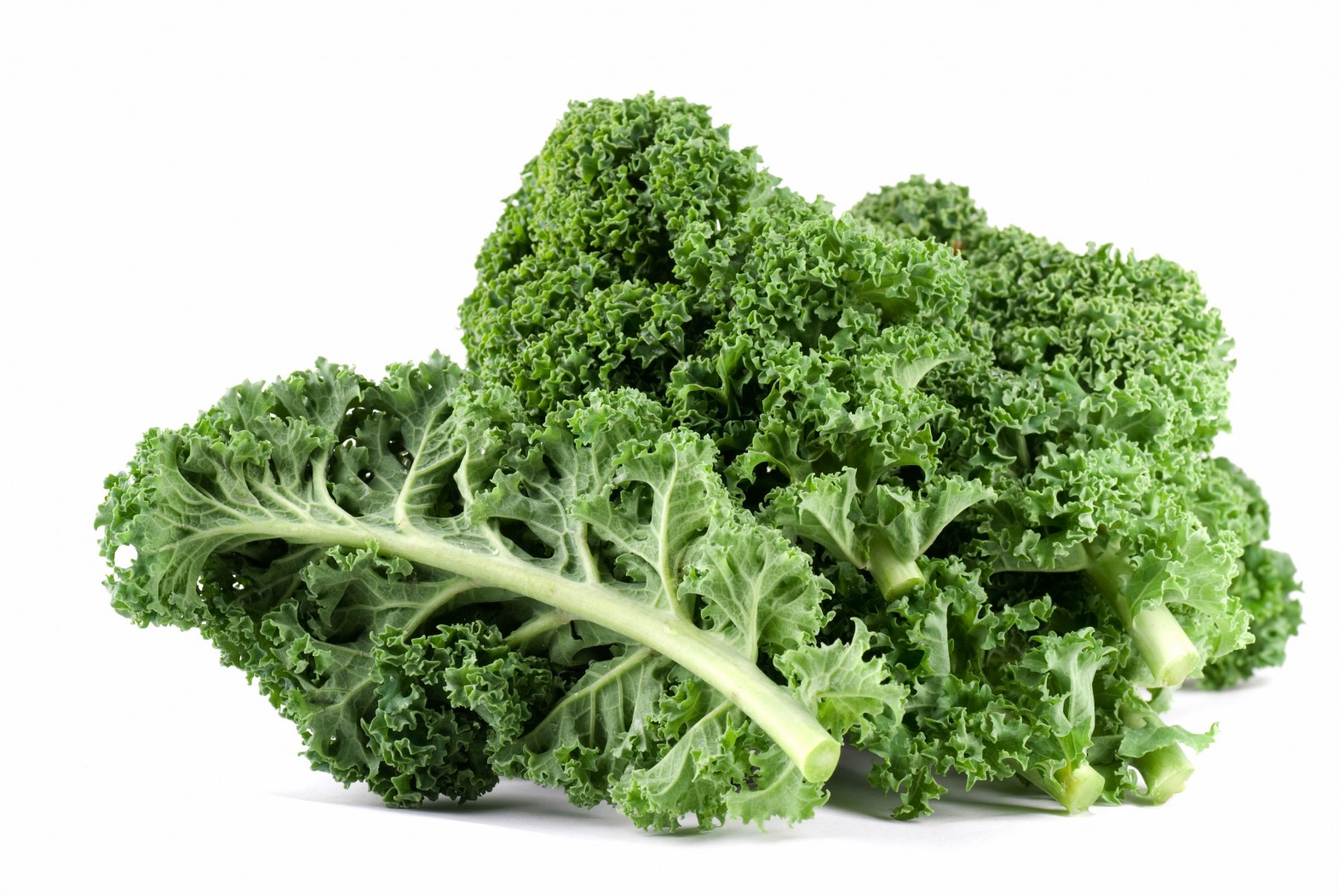 kale is a ‪#‎superfood‬.